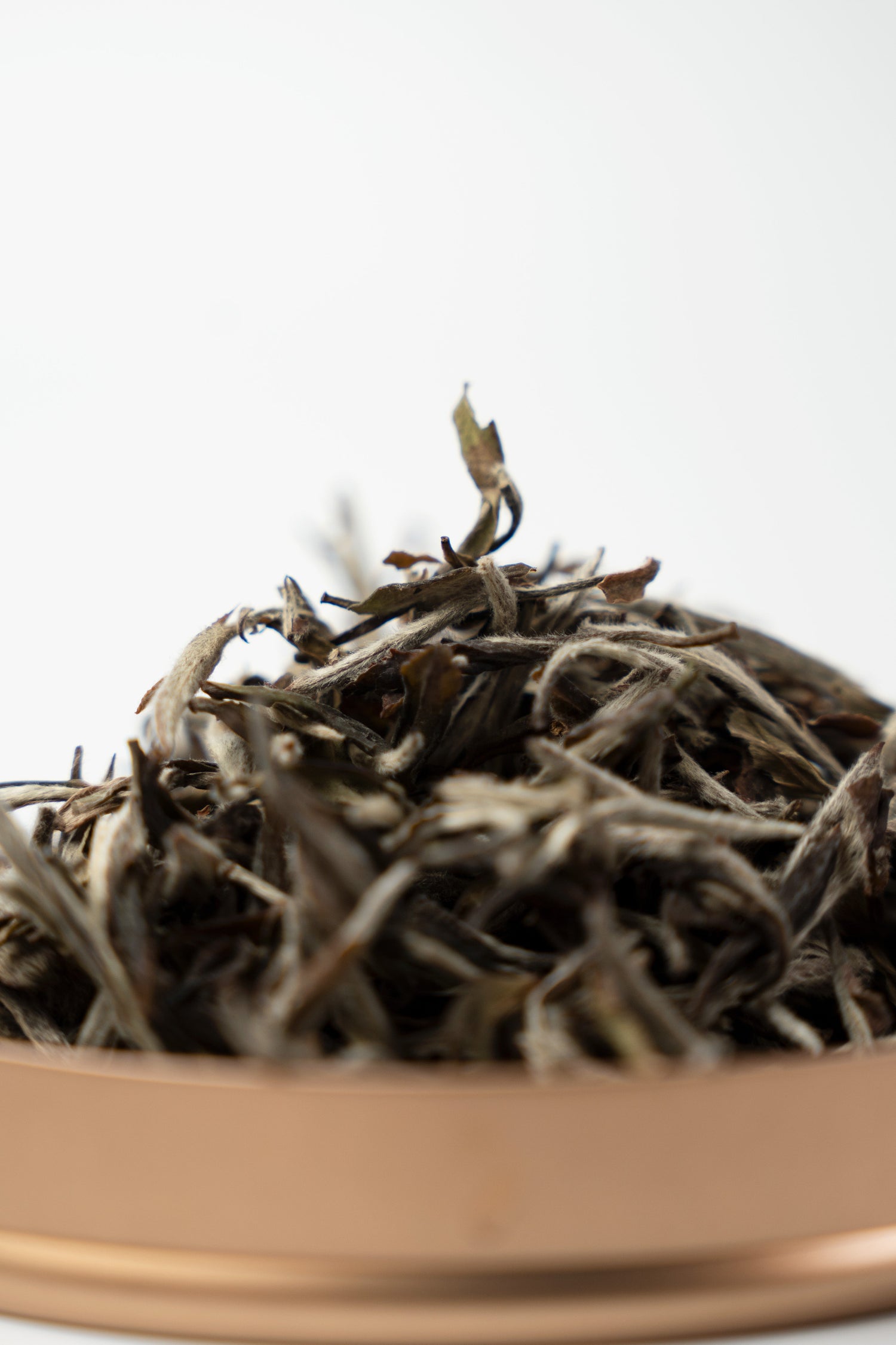 茶